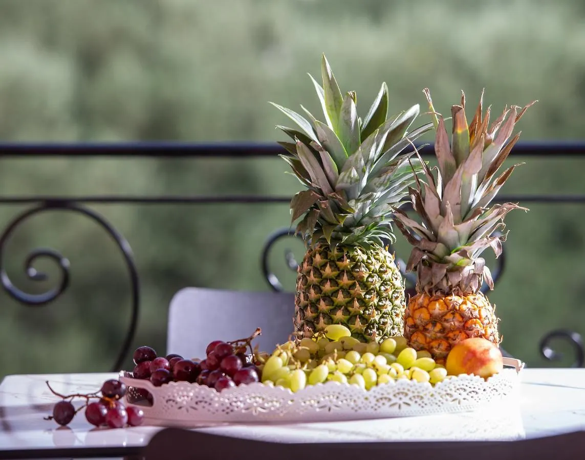 *** Hotell Kseynasa Suites Nikiti  Grekland